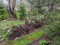 Image file: photo05.jpg