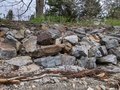 Image file: photo10.jpg