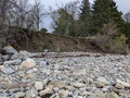 Image file: photo19.jpg