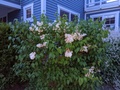 Image file: photo01.jpg