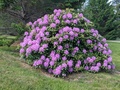 Image file: photo01.jpg