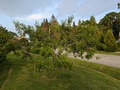 Image file: photo02.jpg