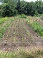 Image file: photo01.jpg