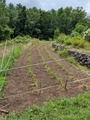 Image file: photo02.jpg