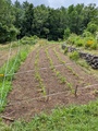 Image file: photo03.jpg