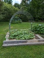 Image file: photo02.jpg