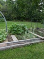Image file: photo03.jpg