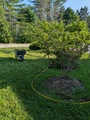 Image file: photo02.jpg