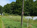 Image file: photo03.jpg