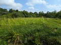 Image file: photo07.jpg