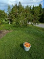 Image file: photo01.jpg