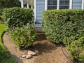 Image file: photo02.jpg