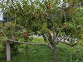 Image file: photo02.jpg