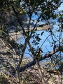 Image file: _1/photo10.jpg