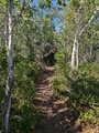 Image file: _1/photo11.jpg