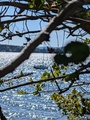 Image file: _1/photo12.jpg