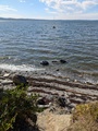 Image file: _2/photo14.jpg