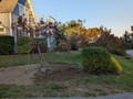 Image file: photo03.jpg