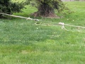 Image file: photo05.jpg