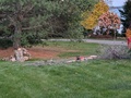 Image file: photo07.jpg