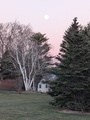 Image file: photo01.jpg