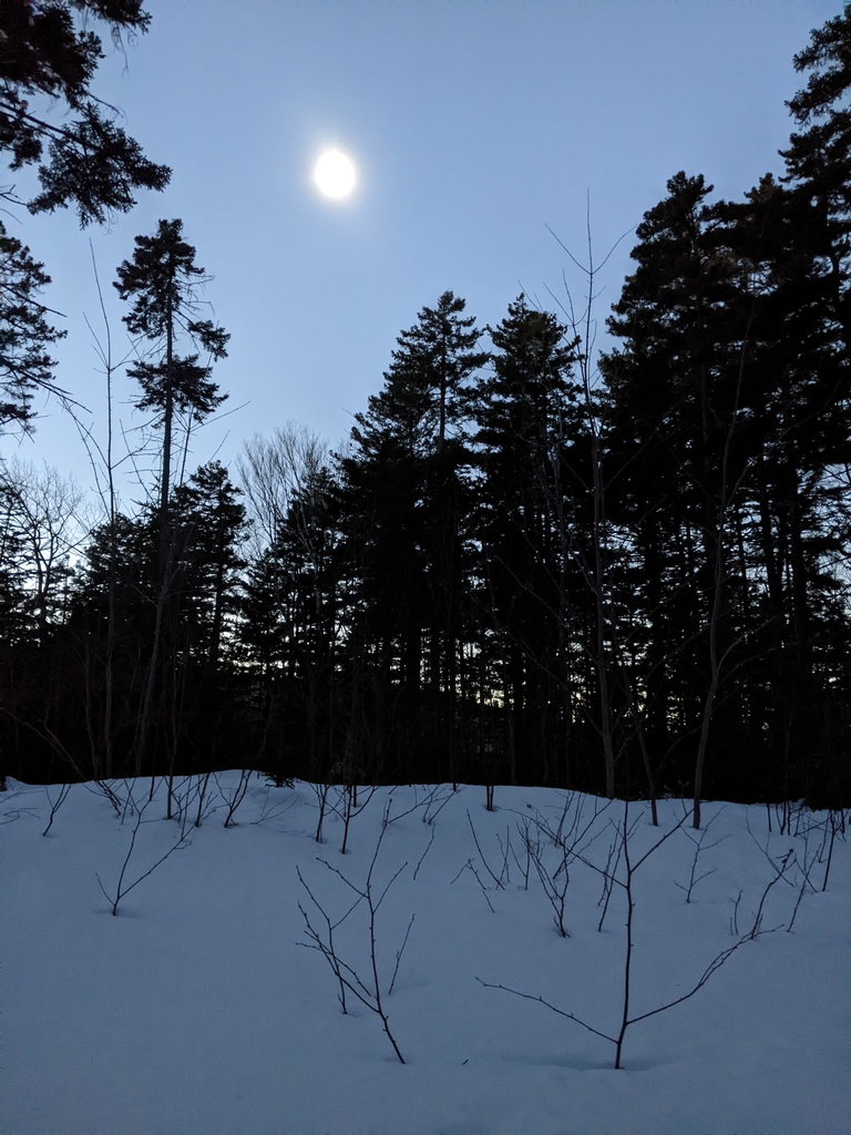 No description provided for: /2024/04-06/0408-solar-eclipse/_2/photo20.html