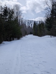 Image file: photo03.jpg