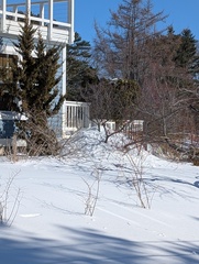 Image file: photo08.jpg