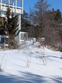 Image file: photo08.jpg