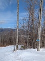 Image file: photo06.jpg