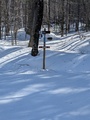 Image file: photo04.jpg
