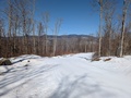Image file: photo02.jpg