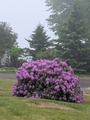 Image file: photo01.jpg