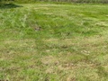 Image file: photo10.jpg