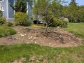 Image file: photo03.jpg