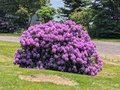 Image file: photo01.jpg