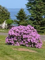 Image file: photo03.jpg