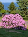 Image file: photo02.jpg