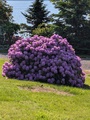 Image file: photo01.jpg