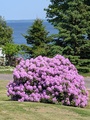 Image file: photo02.jpg