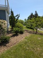 Image file: photo04.jpg