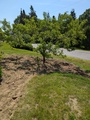 Image file: photo05.jpg
