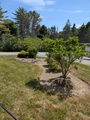 Image file: photo01.jpg