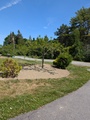 Image file: photo03.jpg