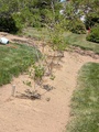 Image file: photo05.jpg