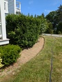 Image file: photo06.jpg