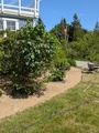 Image file: photo07.jpg