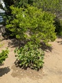 Image file: photo09.jpg