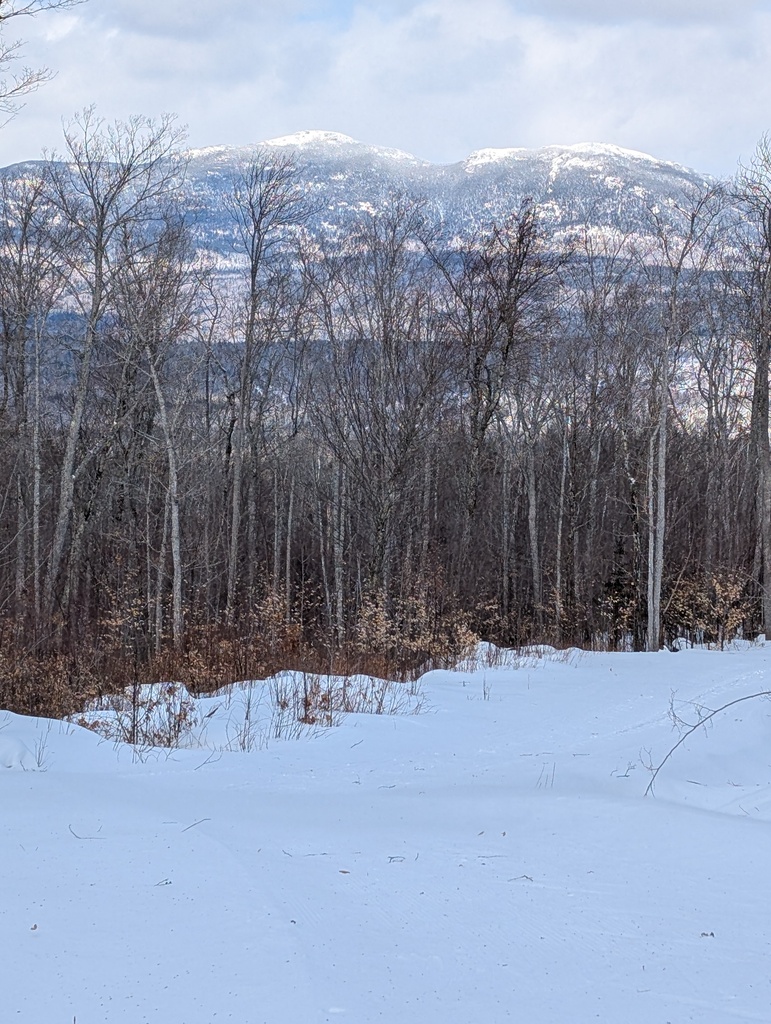 No description provided for: /2025/01-03/0214-xc-ski-route/photo04.html