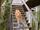 Image file: _2/deck-stairs.jpg